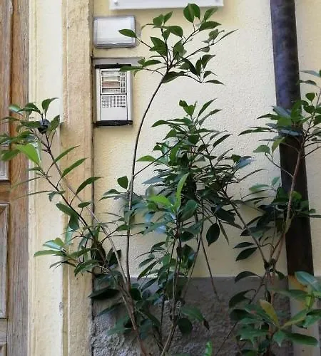 Benso 招待所 斯培西亚